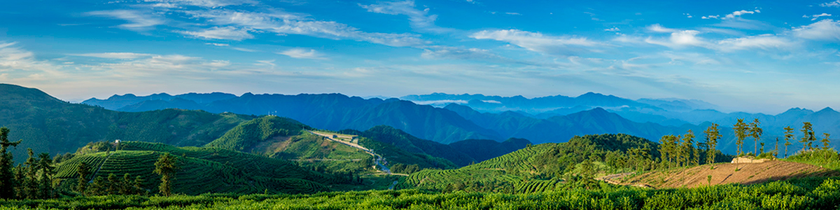 企業(yè)文化.jpg